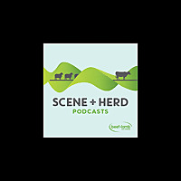 Scene + Herd: Podcasts from Beef + Lamb New Zealand