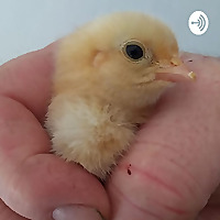 Urban Homesteading UK Podcast