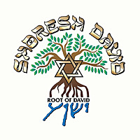 Shoresh David Audio Podcast