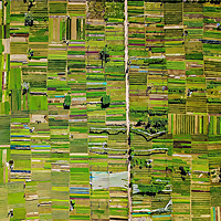 Cultivated Audio