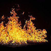 Wildfires+me