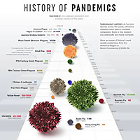 What The Pandemics
