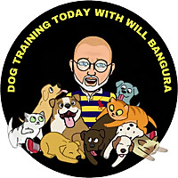 Dog Training Today with Will Bangura for Pet Parents, Kids & Family, Pets and Animals, and Dog Train
