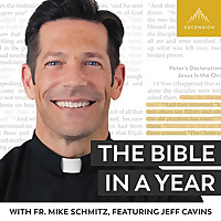 The Bible in a Year (with Fr. Mike Schmitz)