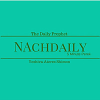 NachDaily: 5 Minute Perek of Tanach covering the entire Navi. Sefer Yehoshua, Shoftim, Shmuel, Melac