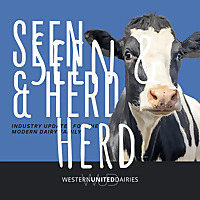 Seen & Herd