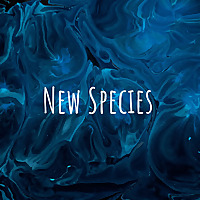New Species