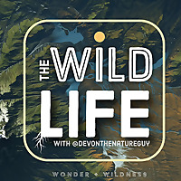 The Wild Life
