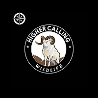 Higher Calling Wildlife with Chester Moore