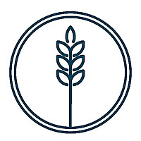 International Harvest Church Newcastle