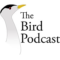 Bird Podcast with Shoba Narayan