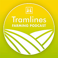 Tramlines