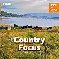 Country Focus