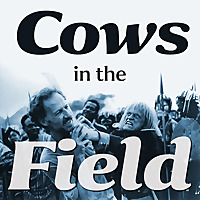 Cows in the field