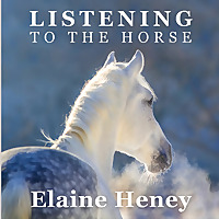 Listening to the Horse by Elaine Heney | Equine training, education, psychology, horsemanship, groun