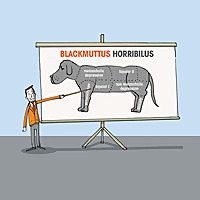 Expert Insights   Black Dog Institute Podcasts
