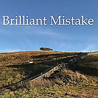 Brilliant Mistake