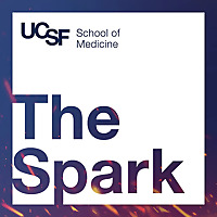 The Spark