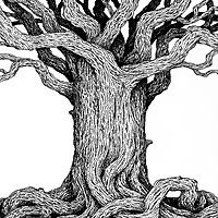 Protectors of the Wood Adventure Series