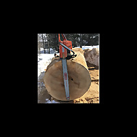 Chainsaw Carving