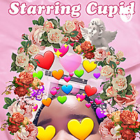 Starring Cupid