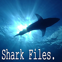 Shark Files