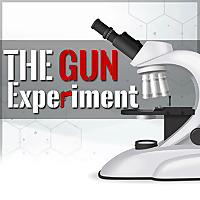 The Gun Experiment