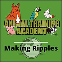 Animal Training Academy: Making Ripples