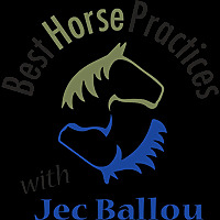 Best Horse Practices Podcast