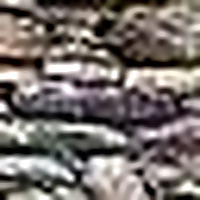 Brian's Spain Domain