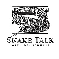 Snake Talk