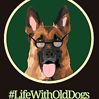 #Lifewitholddogs Podcast