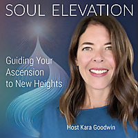Soul Elevation: Guiding Your Ascension to New Heights
