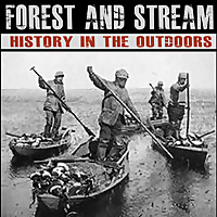 Forest and Stream