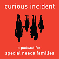 The Curious Incident Podcast