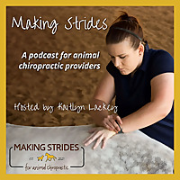 Making Strides for Animal Chiropractic