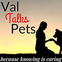 Val Talks Pets