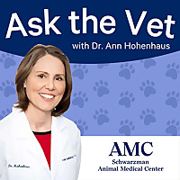 Ask the Vet