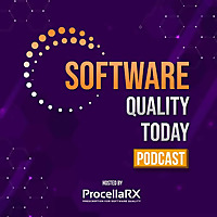 Software Quality Today