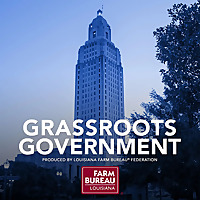 Grassroots Government