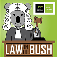 Law in the Bush