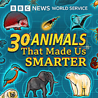 30 Animals That Made Us Smarter