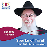 Sparks of Torah