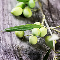 The North Church Women