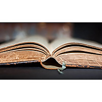 Church at Vienna Sermons