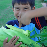 Ligaya Garden Oddcast