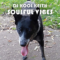 DJ Kool Soulful Vibes