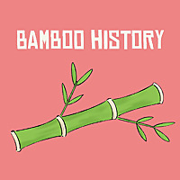 Bamboo History