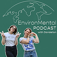 EnvironMental with Dandelion