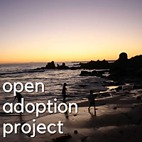 Open Adoption Project